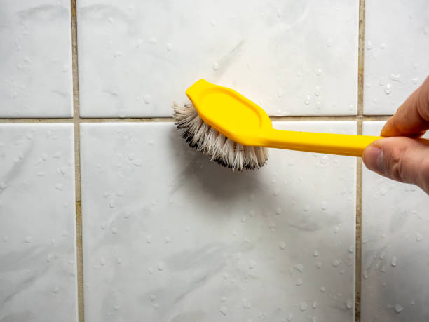 Best Mold Removal Near Me  in Marion, IA