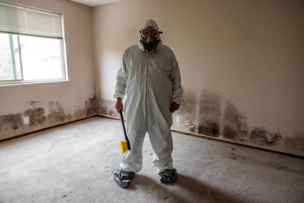 Best Mold Cleaning Services  in Marion, IA